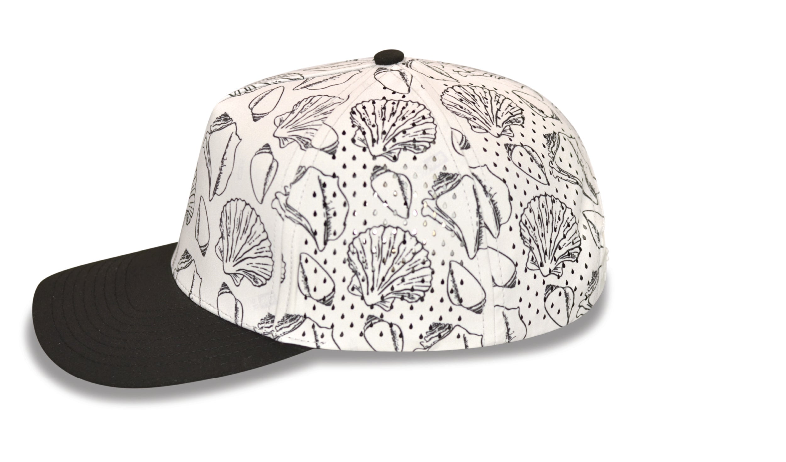 seashell_black_leftside