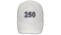 The USA 250