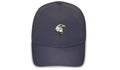 The Navy Eagle