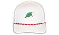 The Sea Turtle
