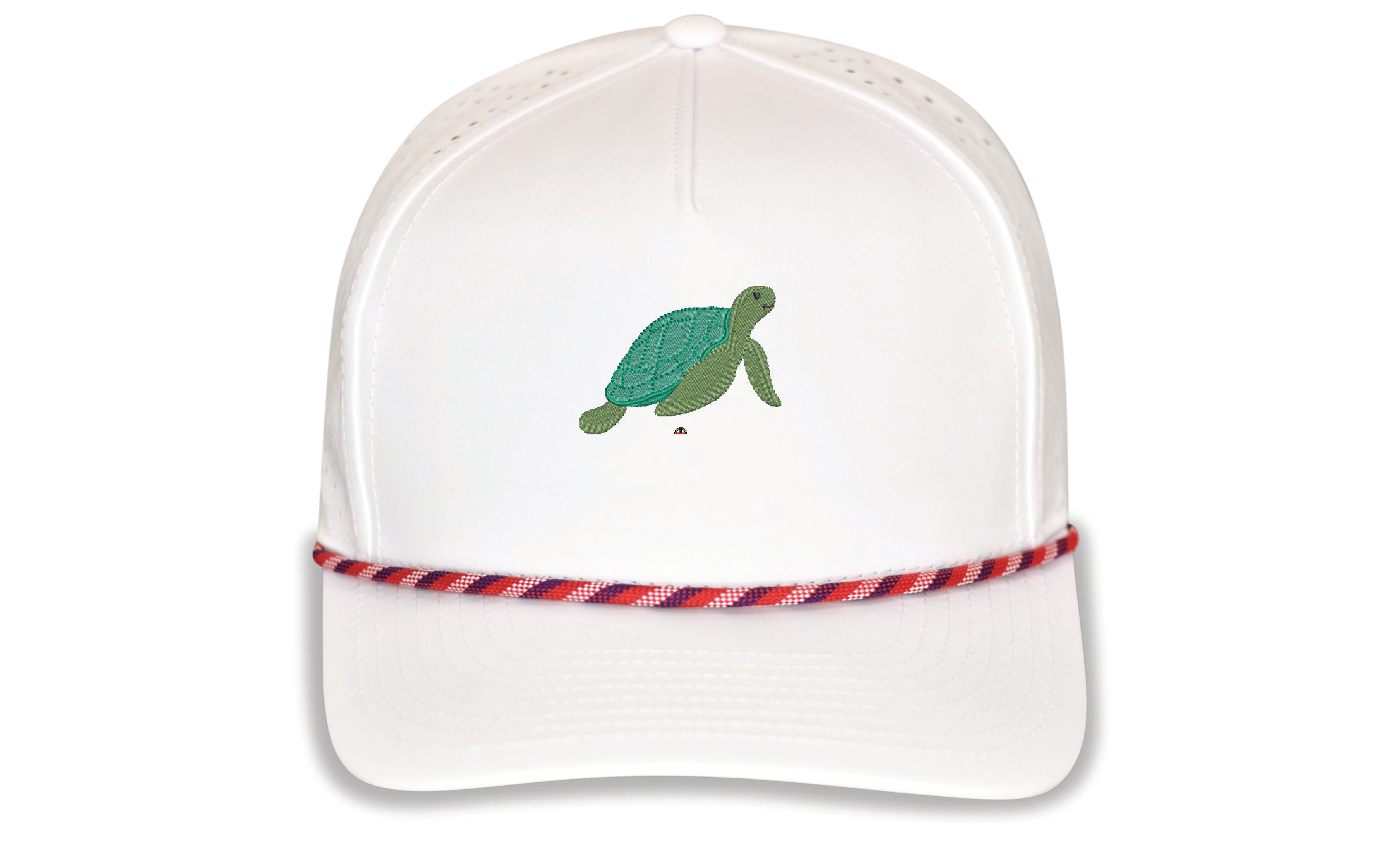 The Sea Turtle